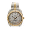 Tudor Rotor 21013 Watch