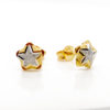 22K Gold Two Tone Star Earstud