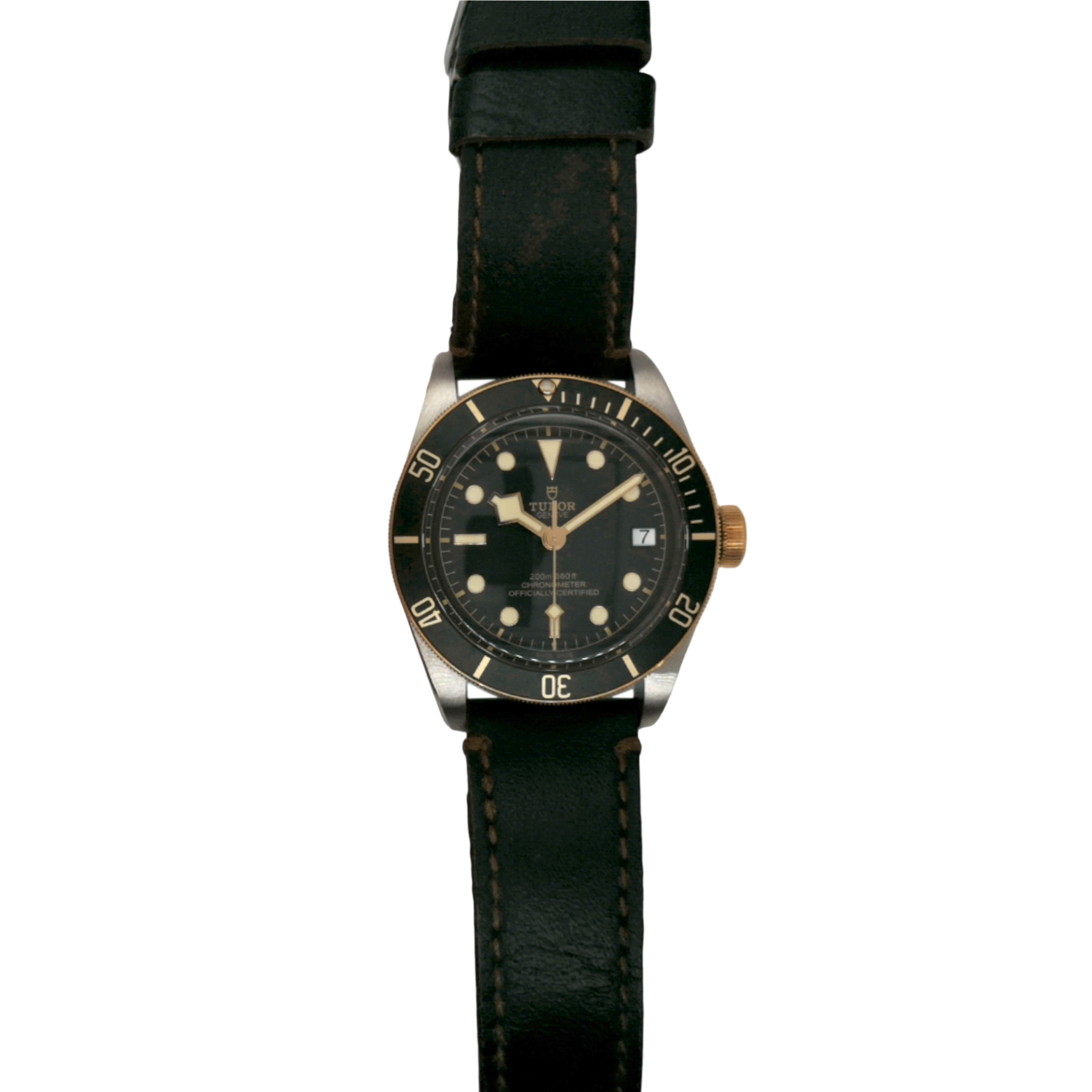 Tudor Black Bay S&G