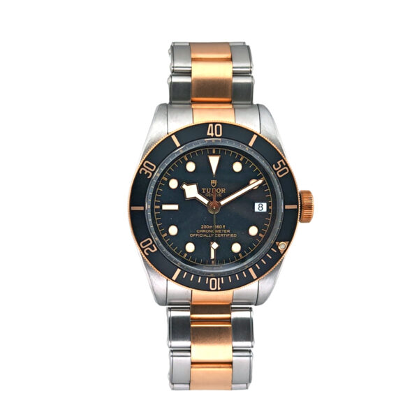 Tudor Black Bay S & G 79733