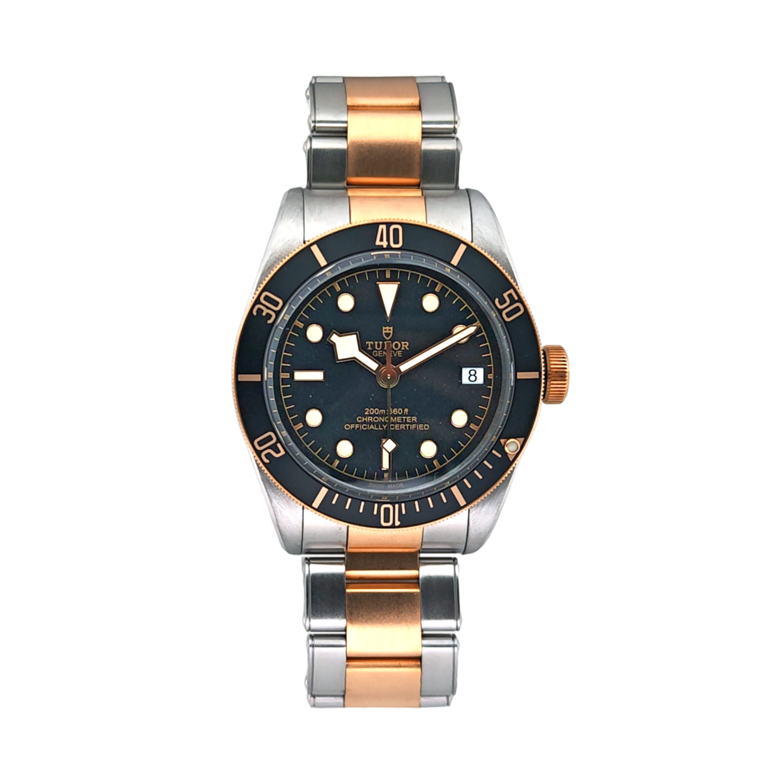 Tudor Black Bay S & G 79733