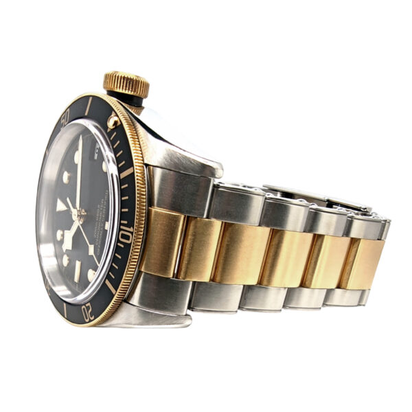 Tudor Black Bay S & G 79733