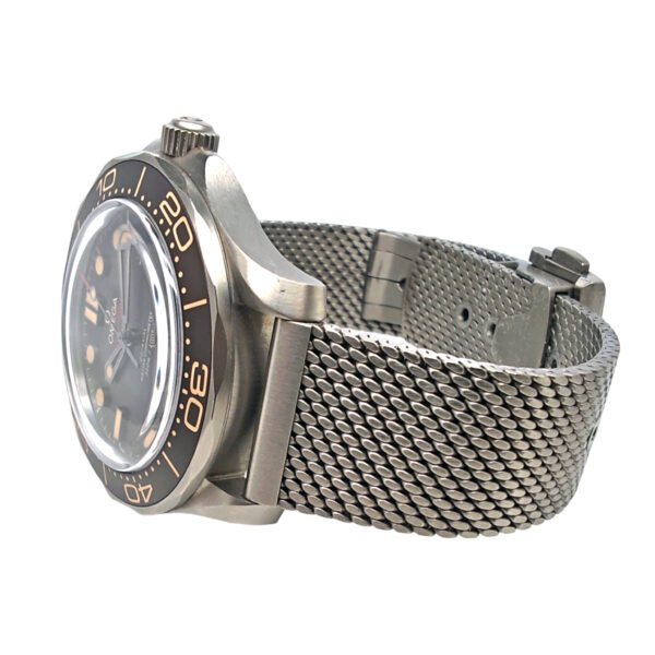 Omega Seamaster Diver