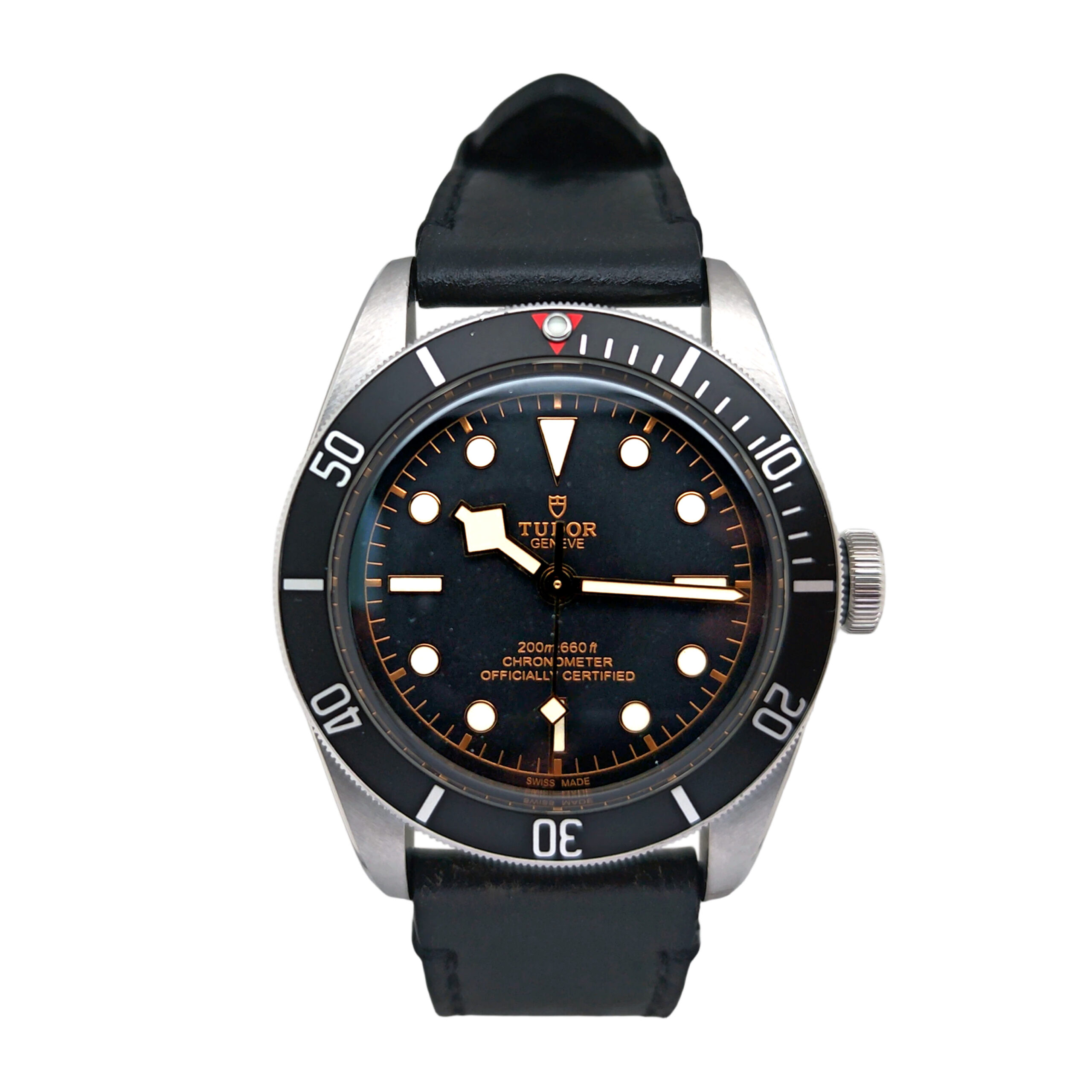 Tudor Black Bay 79230N