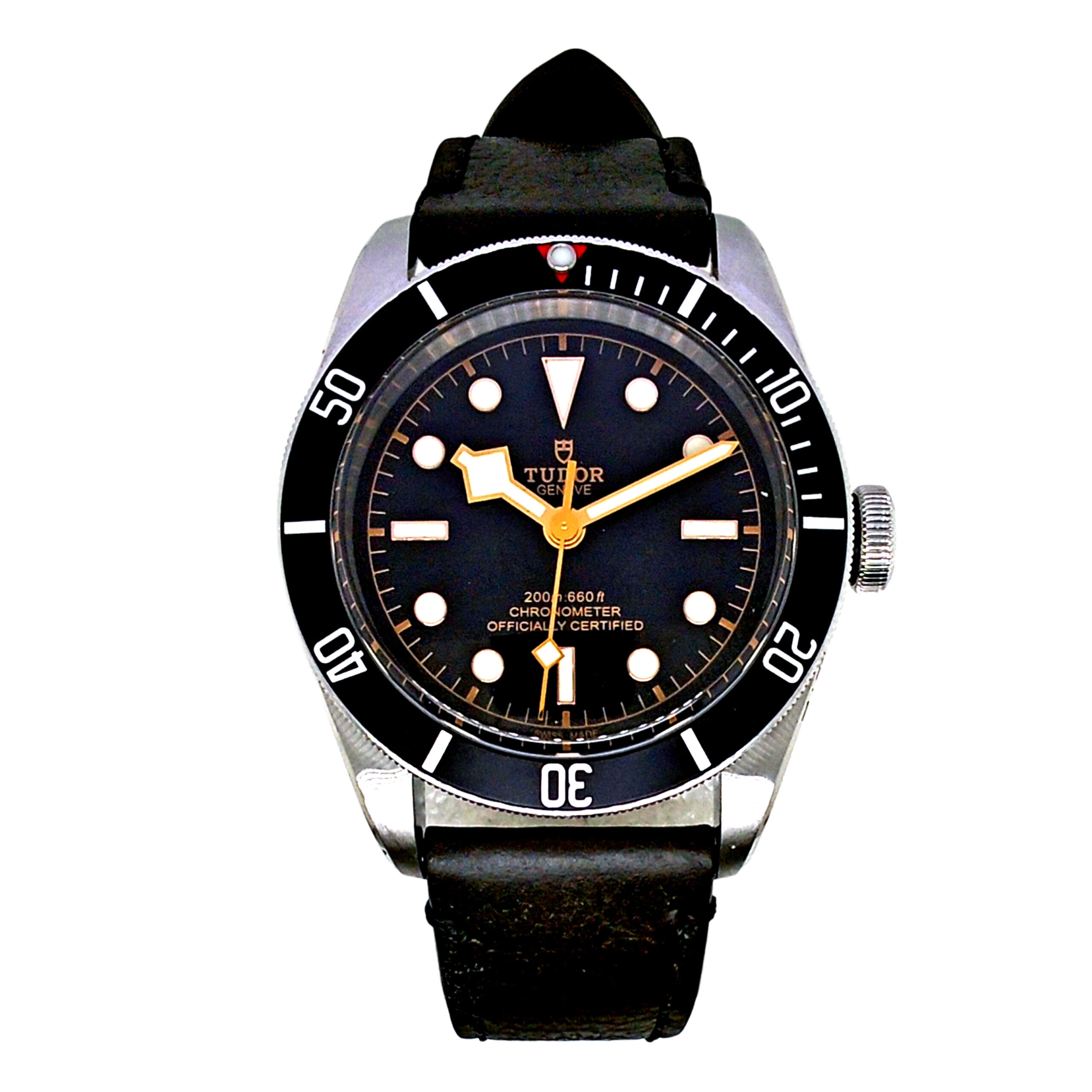 Tudor Black Bay 79230N