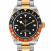 Tudor Black Bay 79833MN