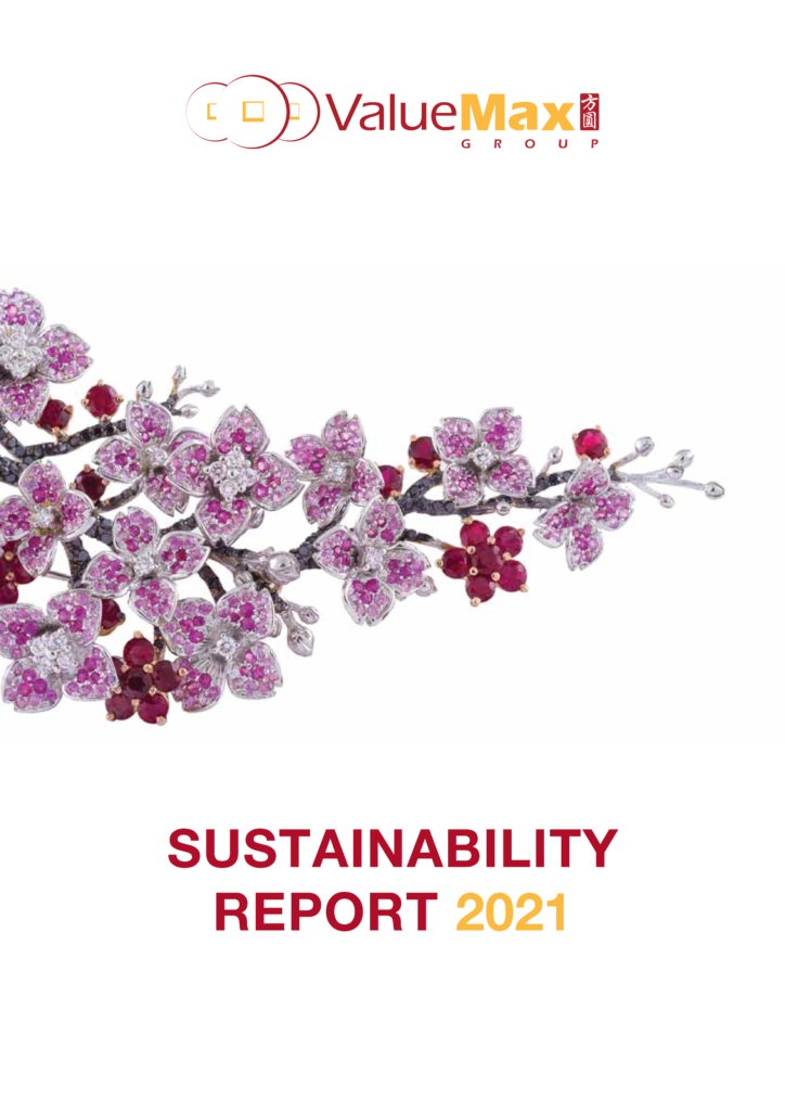 ValueMax Sustainability Report 2021_7_001