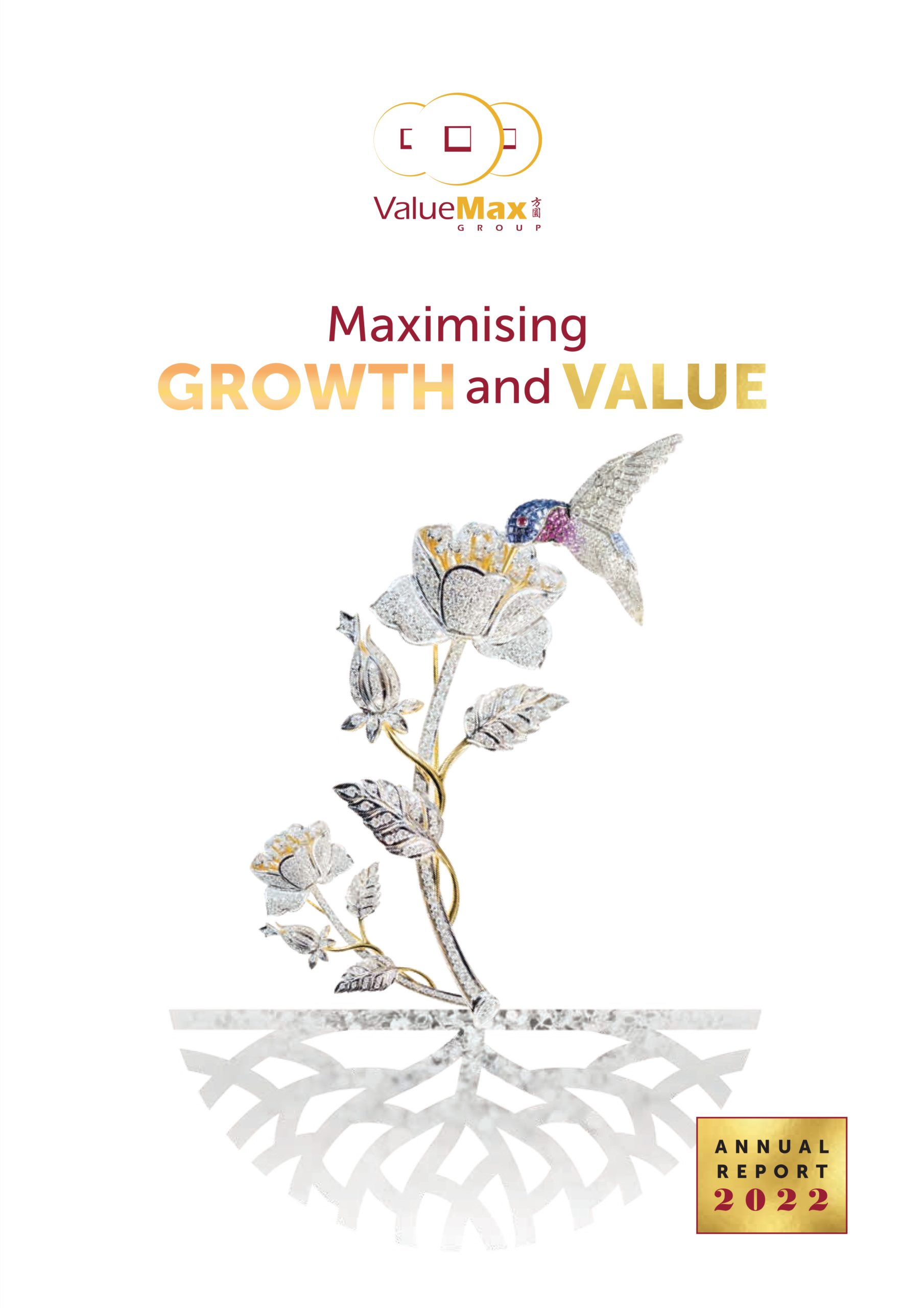 ValueMax Annual Report 2022